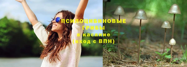крисы Магадан