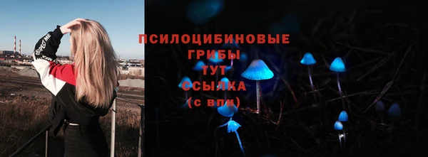 крисы Магадан