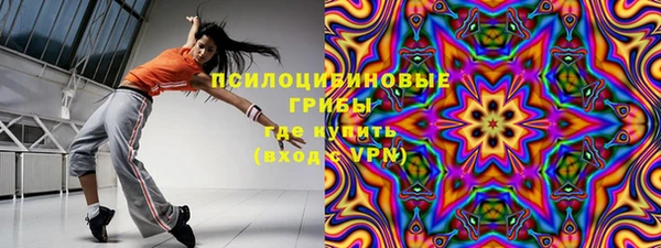 крисы Магадан