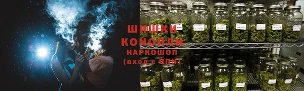 крисы Магадан