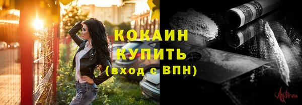 стафф Майский